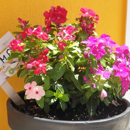 Apartamento Theyellow House Fully Equipped 2br