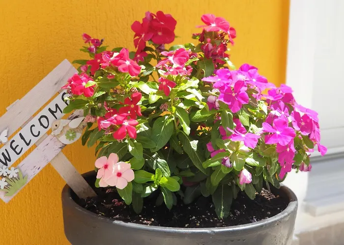 Appartamento The Yellow House I 2br Retreat Near Myrtos